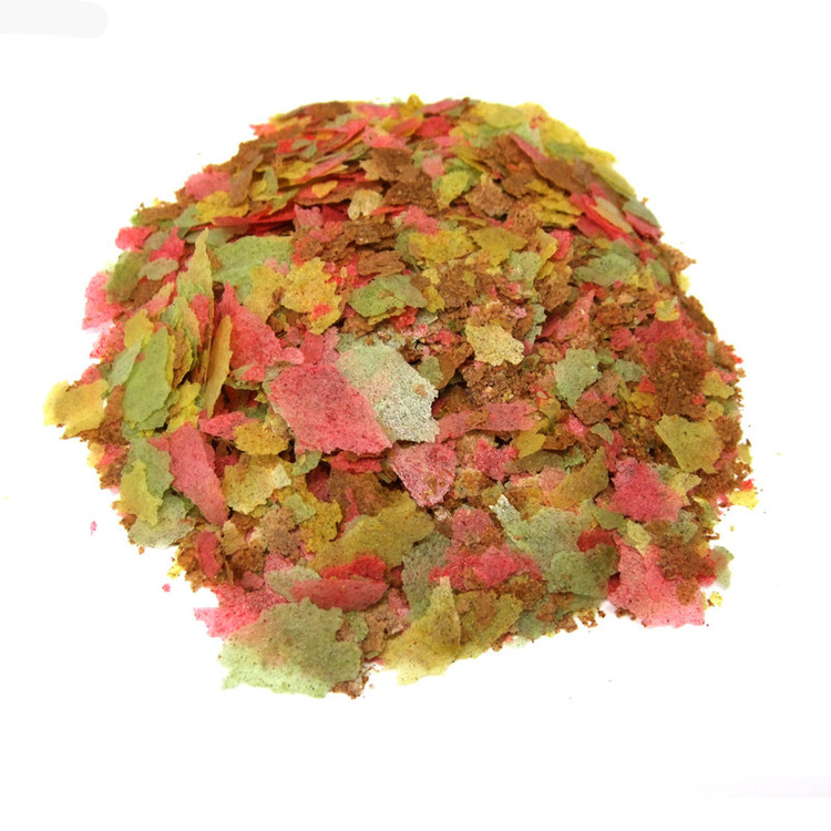 پولکی تروپیکال breeder line